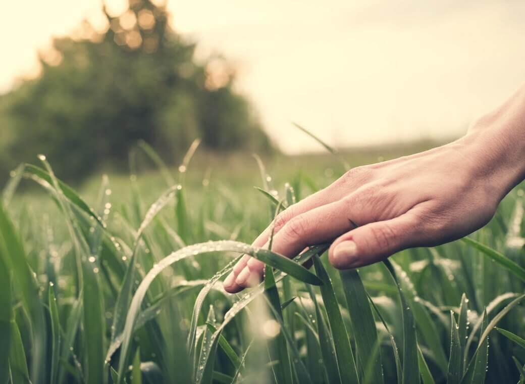 Vivere in armonia con la natura e non dare per scontata la sua bellezza